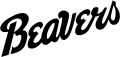 Bemidji State Beavers 2004-Pres Wordmark Logo 01 Print Decal