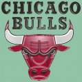 Chicago Bulls Plastic Effect Logo Print Decal