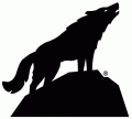 North Carolina State Wolfpack 2006-Pres Alternate Logo 04 Print Decal