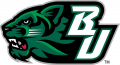 Binghamton Bearcats 2001-Pres Secondary Logo 02 Iron On Transfer
