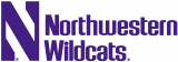 Northwestern Wildcats 1981-Pres Wordmark Logo 05 Iron On Transfer