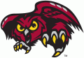 Temple Owls 1996-Pres Alternate Logo 01 Print Decal