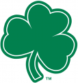 Notre Dame Fighting Irish 1994-Pres Alternate Logo 13 Print Decal