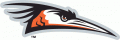 Delmarva Shorebirds 2010-Pres Primary Logo Print Decal