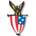 USA Logo 02 Iron On Transfer