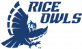 Rice Owls 2017-Pres Alternate Logo 01 Iron On Transfer