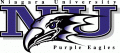 Niagara Purple Eagles 2001-Pres Primary Logo Print Decal