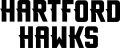 Hartford Hawks 2015-Pres Wordmark Logo 05 Print Decal