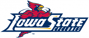 Iowa State Cyclones 1995-2007 Wordmark Logo 04 Iron On Transfer