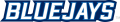 Creighton Bluejays 2013-Pres Wordmark Logo 02 Print Decal