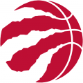 Toronto Raptors 2015-16 Alternate Logo Print Decal