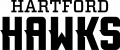 Hartford Hawks 2015-Pres Wordmark Logo 07 Print Decal