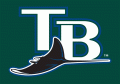 Tampa Bay Rays 2005-2007 Wordmark Logo Print Decal