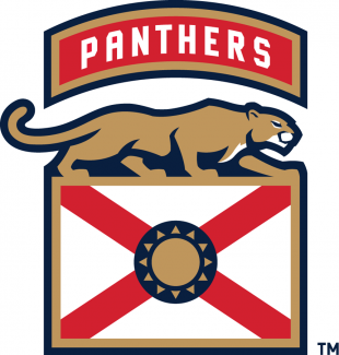 Florida Panthers 2016 17-Pres Alternate Logo 04 Iron On Transfer