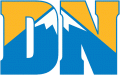 Denver Nuggets 2003 04-2007 08 Alternate Logo Print Decal