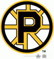 Providence Bruins 1995 96-2011 12 Primary Logo Print Decal