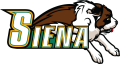 Siena Saints 2001-Pres Primary Logo Print Decal