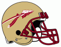 Florida State Seminoles 1976-2013 Helmet Logo Iron On Transfer