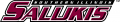 Southern Illinois Salukis 2001-2018 Wordmark Logo 02 Print Decal