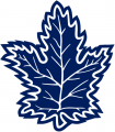 Toronto Maple Leafs 1992 93-1999 00 Alternate Logo Print Decal