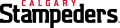 Calgary Stampeders 2012-Pres Wordmark Logo Iron On Transfer