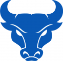 Buffalo Bulls 2016-Pres Secondary Logo Iron On Transfer