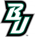 Binghamton Bearcats 2001-Pres Alternate Logo Iron On Transfer