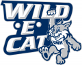 New Hampshire Wildcats 2000-Pres Mascot Logo Print Decal