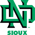 North Dakota Fighting Hawks 2012-2015 Alternate Logo 01 Print Decal