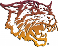 Bethune-Cookman Wildcats 2000-2015 Primary Logo Iron On Transfer