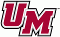 Massachusetts Minutemen 2003-Pres Wordmark Logo 01 Iron On Transfer
