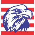 USA Logo 01 Print Decal