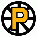 Providence Bruins 2012 13-Pres Primary Logo Print Decal