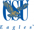 Coppin State Eagles 2004-2016 Alternate Logo Iron On Transfer