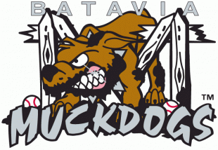 Batavia Muckdogs 1998-Pres Primary Logo Iron On Transfer