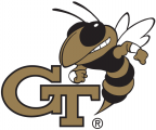 Georgia Tech Yellow Jackets 1991-Pres Secondary Logo Print Decal