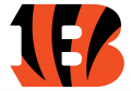 Cincinnati Bengals 2004-Pres Primary Logo Iron On Transfer