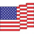 Flag Logo 12 Print Decal