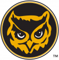 Kennesaw State Owls 1992-2011 Alternate Logo 01 Print Decal