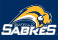 Buffalo Sabres 2006 07-2009 10 Wordmark Logo Iron On Transfer