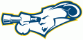 La Salle Explorers 2004-Pres Alternate Logo 02 Print Decal