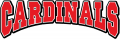 Incarnate Word Cardinals 1998-2010 Wordmark Logo Iron On Transfer