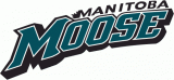 Manitoba Moose 2005 06-2010 11 Wordmark Logo Print Decal