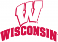 Wisconsin Badgers 2002-Pres Alternate Logo 01 Print Decal