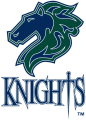 Charlotte Knights 1999-2013 Primary Logo Iron On Transfer