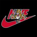 Florida Panthers Nike logo Iron On Transfer