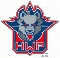 Hartford Wolf Pack 2009 Alternate Logo Iron On Transfer