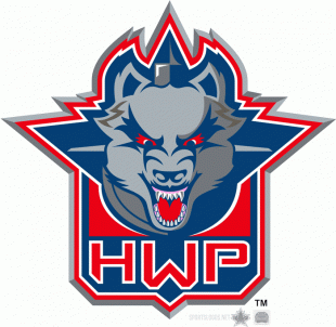 Hartford Wolf Pack 2009 Alternate Logo Print Decal