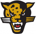 IUPUI Jaguars 1998-2007 Secondary Logo 01 Print Decal