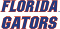 Florida Gators 2013-Pres Wordmark Logo 06 Iron On Transfer